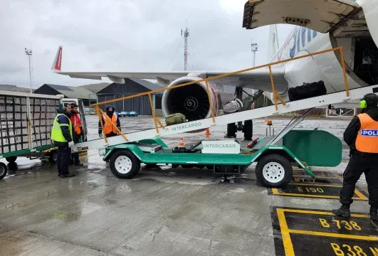 intercargo