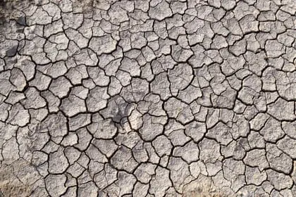 Cuando el suelo pierde sus nutrientes queda desierto y es difícil rehabilitarlo (EFE/EPA/MOHAMED MESSARA)