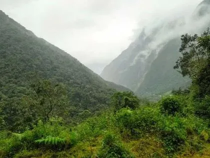 Los suelos son capaces de absorber grandes cantidades de carbono (Andina)