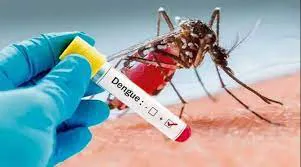 pico-dengue