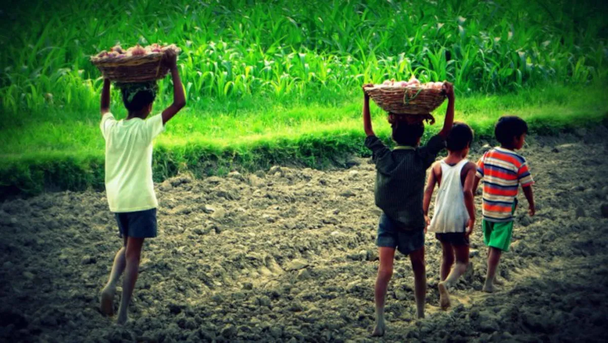 trabajo infantil