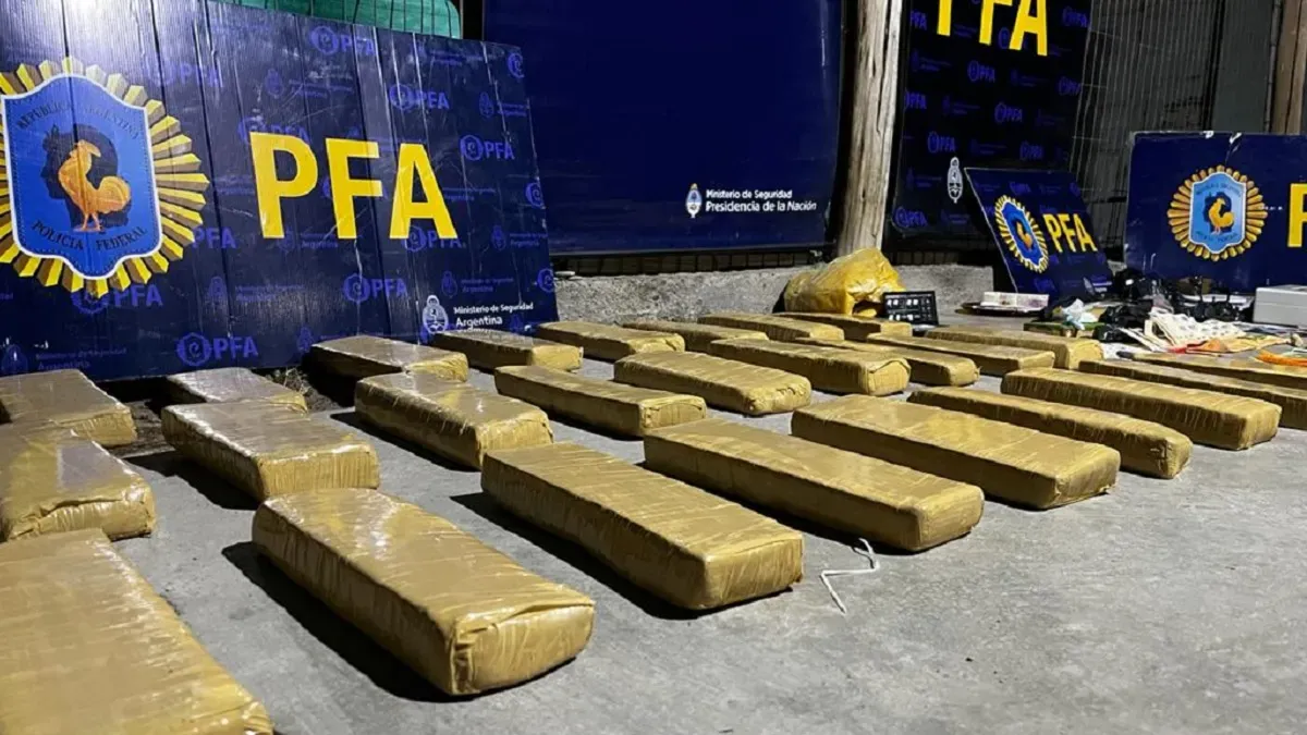 droga-pfa