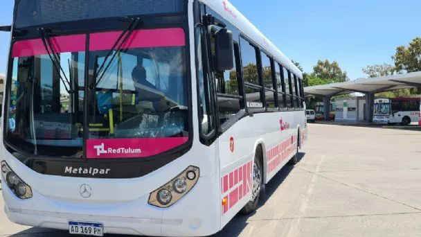 colectivo