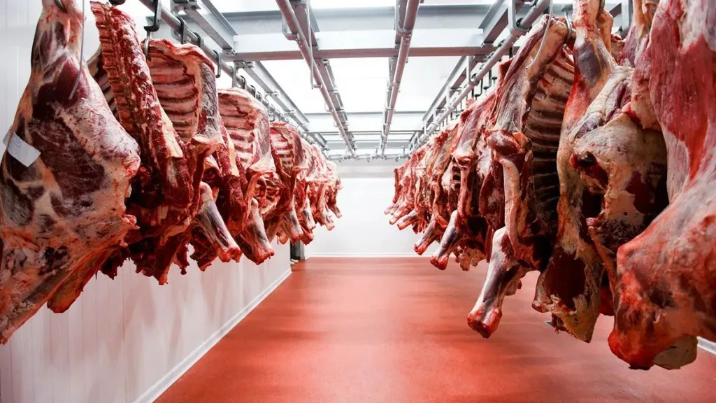 carne-vacuna