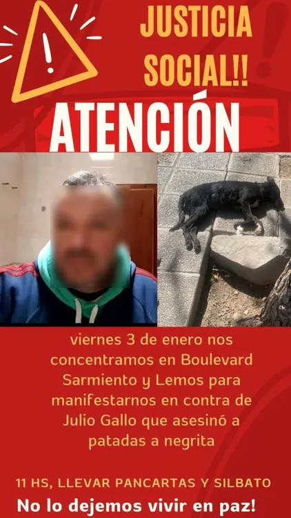 perrita 1