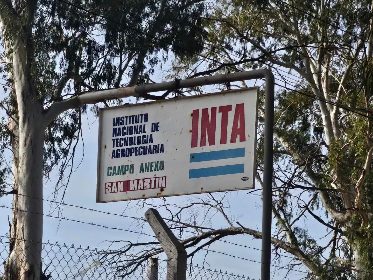 inta