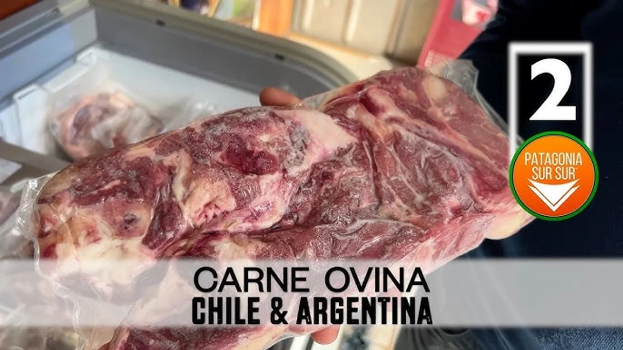 carneovina-jpeg