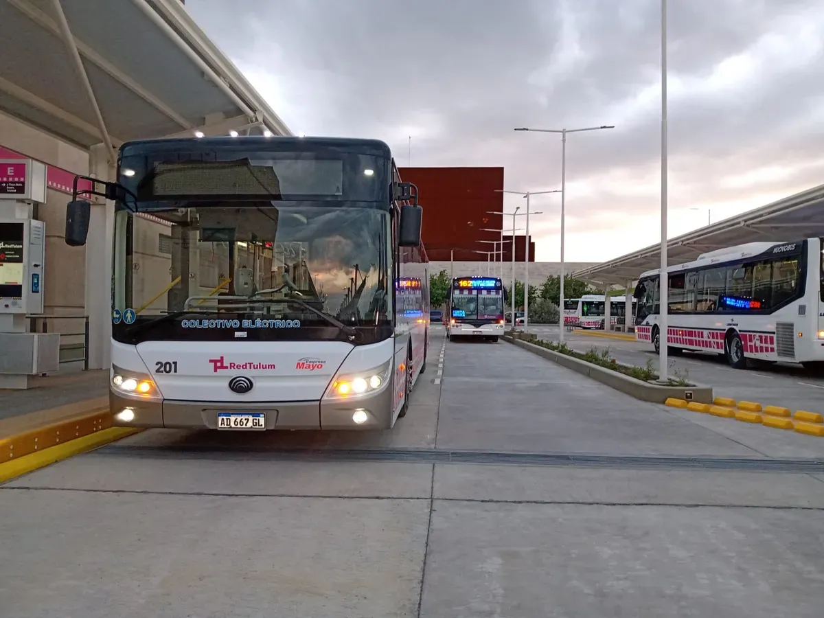 red tulum colectivos
