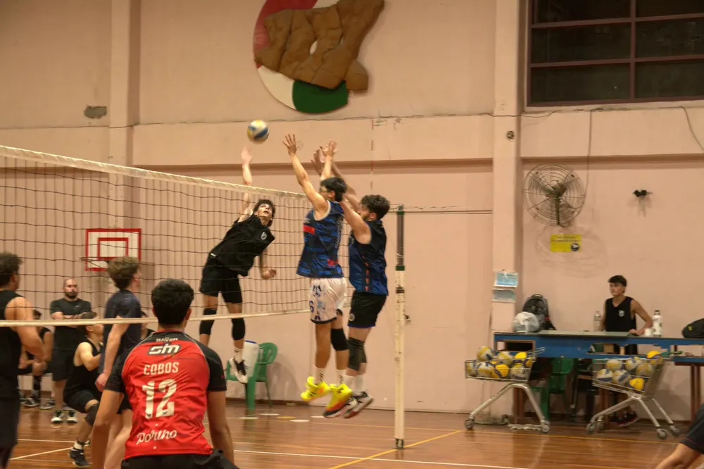 WhatsApp Image 2026-01-13 at 11.28.50 AM