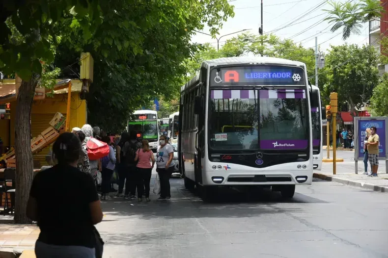 colectivos paro