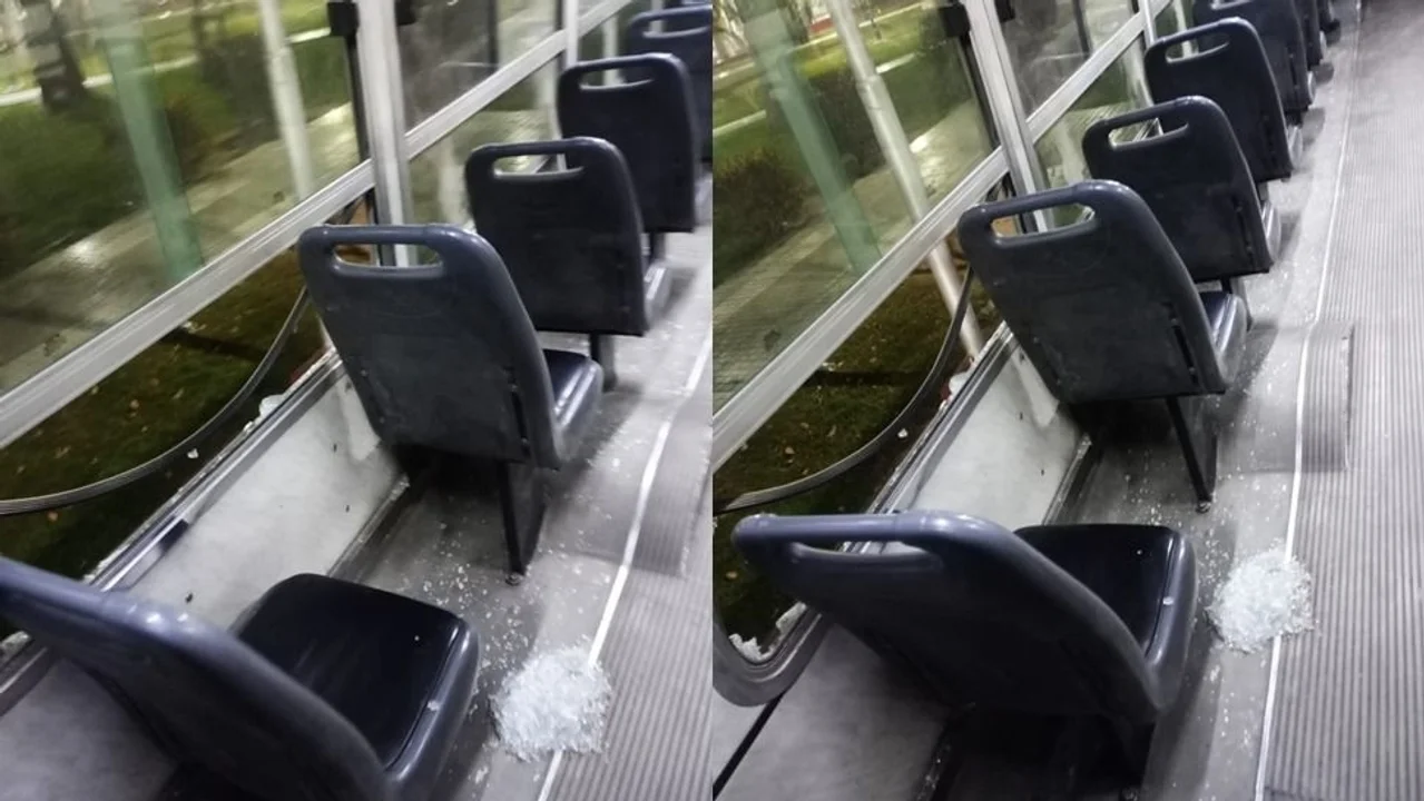 colectivo piedra