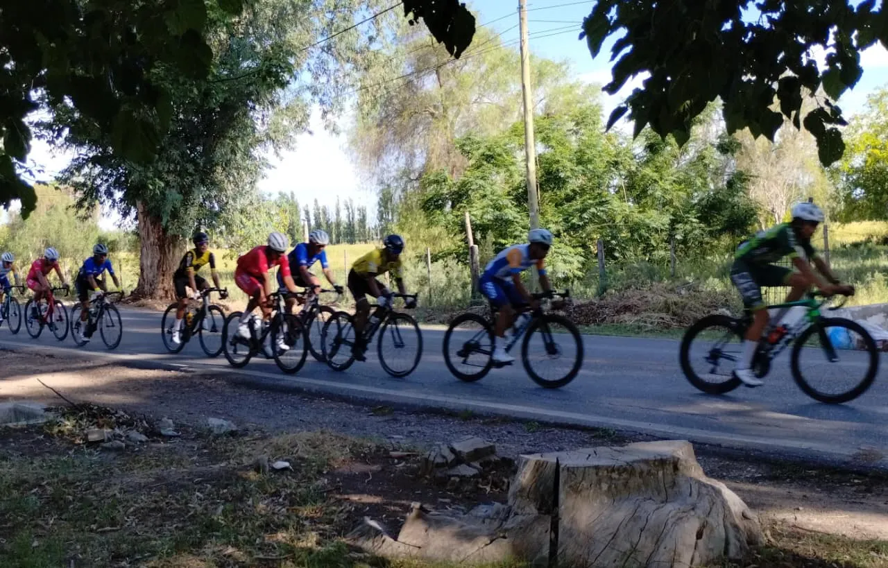 WhatsApp Image 2025-12-28 at 8.25.05 PM