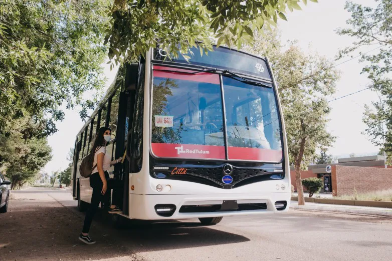 colectivo