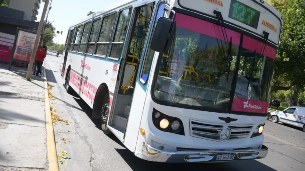 colectivo