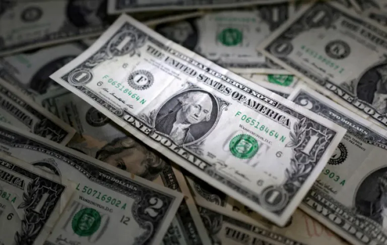 dolar-previo
