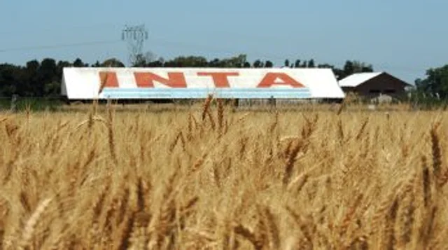 inta