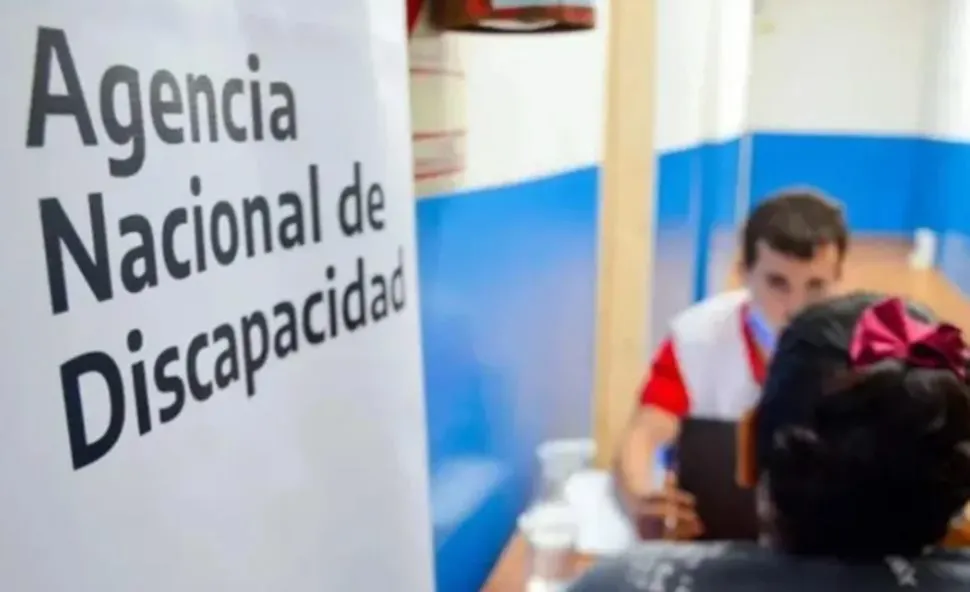 agencia discapacidad