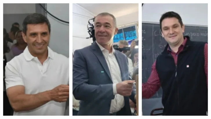 diputados electos