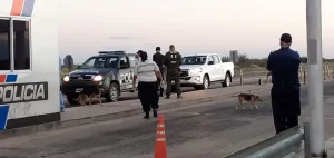 Detectan a un conductor con 1,6 g/l de alcohol en sangre durante operativos en la Cabalgata de la Fe