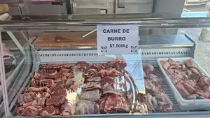 Polémica en San Juan por la iniciativa de habilitar el consumo de carne de burro
