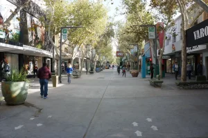 El 80% de los comercios abrió en el feriado, pero las ventas fueron moderadas