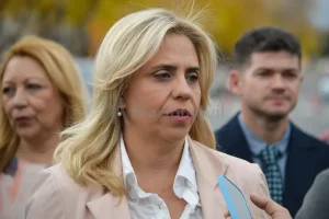 Nancy Picón negó vínculos con mineras y defendió la postura de San Juan en el debate por la Ley de Glaciares