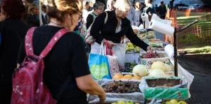 Advierten que la economía mejora pero no se genera más empleo ni sube el consumo