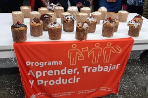 San Juan apuesta al "círculo virtuoso": capacitación y equipamiento para el sector independiente