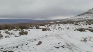 Barreal despertó bajo un manto blanco: la intensa nevada cubrió Calingasta y rige un alerta por el temporal