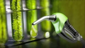 Impacto en los surtidores: Energía autorizó subas de hasta 4% en los biocombustibles