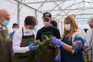 Una farmacéutica estatal en San Juan: el ambicioso proyecto que impulsa CANME