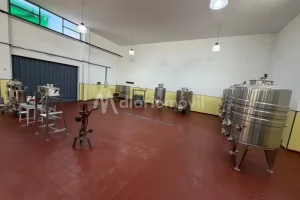 La Escuela de Enología recuperó su histórica bodega y volvió a producir vino tras más de 50 años