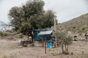 De las velas a la electricidad: el cambio que transformó a 16 familias de Valle Fértil