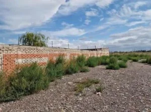 La minería cambia el mapa inmobiliario de San Juan y dispara la demanda de terrenos