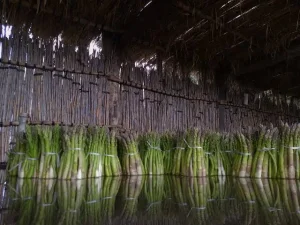 Más agua en San Juan: los chacareros advierten por la suba de napas y el riesgo para zonas productivas